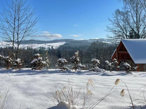 Το Domki Na Wypasie τον χειμώνα