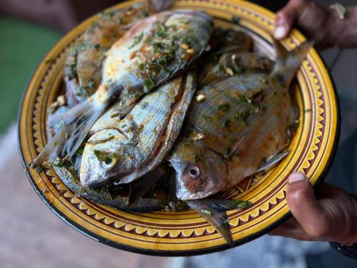 Jídlo v rezortu nebo okolí
