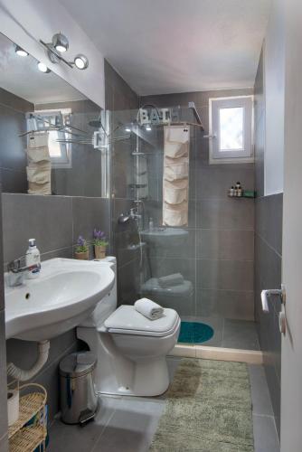 a bathroom with a toilet and a sink and a shower at Dora in Boïkátika