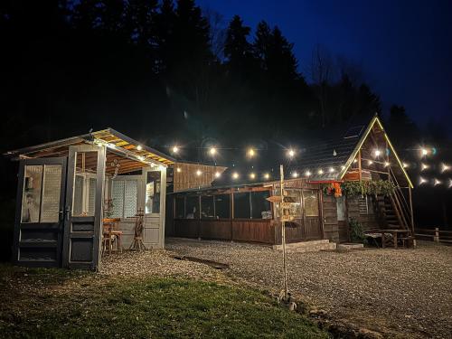 een huis met 's nachts lichten erop bij Cabana LoSt Ventoc in Vulcan