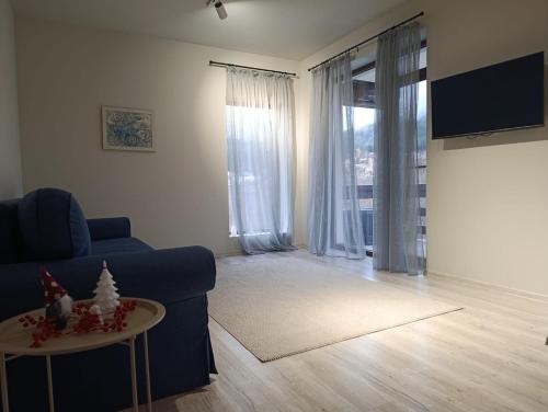 TV/trung tâm giải trí tại Belvedere Caraiman