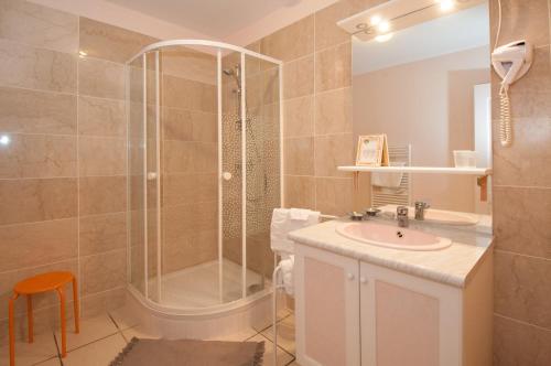 a bathroom with a shower and a sink at La Janenquelle in Sarry