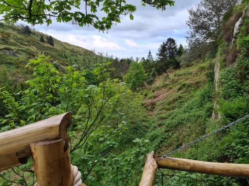 Billede fra billedgalleriet på Balance Treehouse 