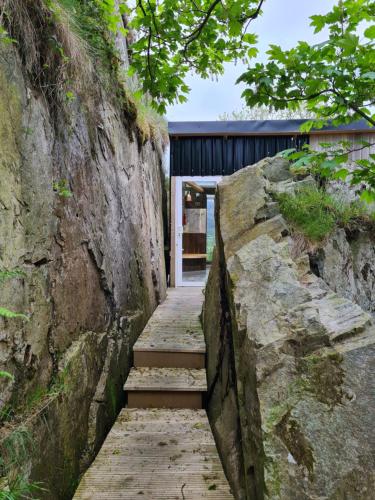 Billede fra billedgalleriet på Balance Treehouse 