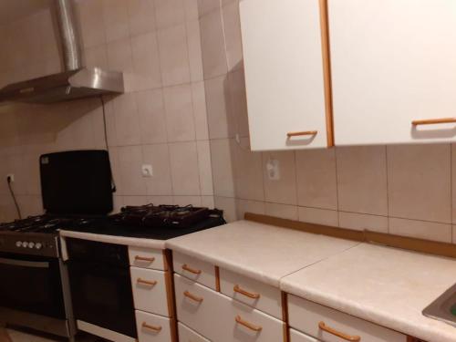 eine Küche mit einem Herd und weißen Schränken in der Unterkunft Casa Birsan in Jina