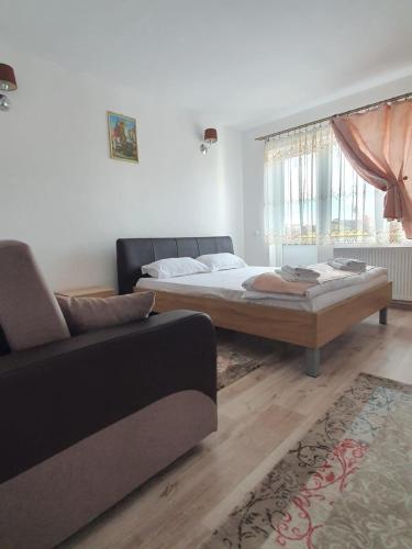 a living room with a bed and a couch at Casa Birsan in Jina