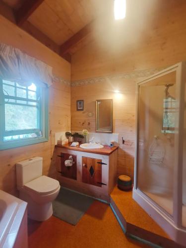 a bathroom with a toilet and a sink and a shower at The Goat and Goose Bed & Breakfast in Lakes Entrance