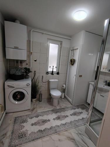 a bathroom with a toilet and a washing machine at Apartman Novska Noemi in Novska