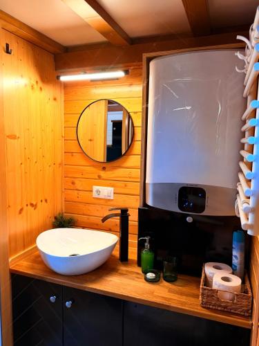 a bathroom with a white sink and a mirror at Natura Tiny House in Mărişel