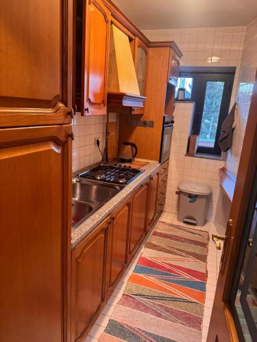een kleine keuken met een spoelbak en een fornuis bij Aquae Lux apartment in Sarajevo