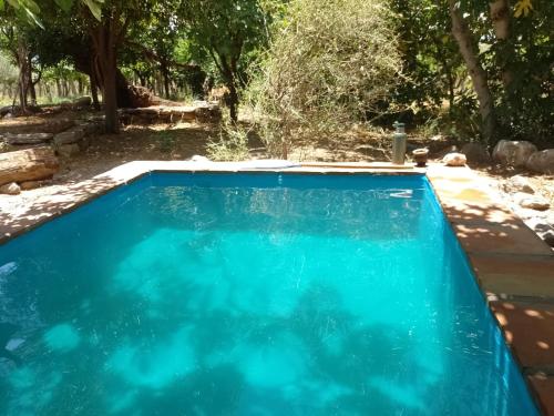 Bazén v ubytování Finca Las Higueras nebo v jeho okolí