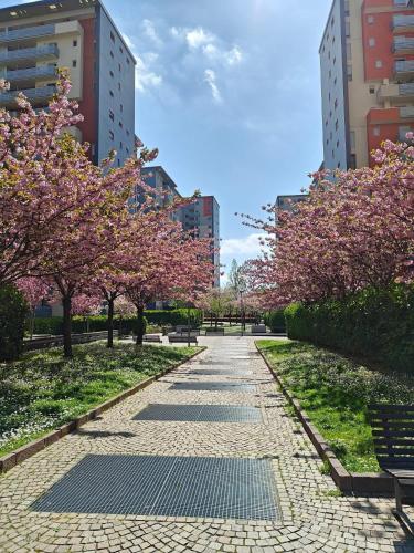 Pure Milano Apartment - Bicocca - UNIMIB