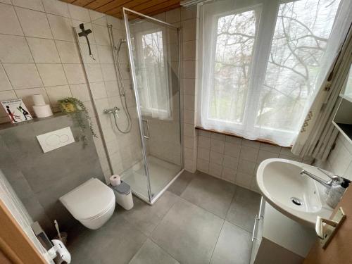 a bathroom with a shower and a toilet and a sink at Bellevue Apartment in Ringgenberg
