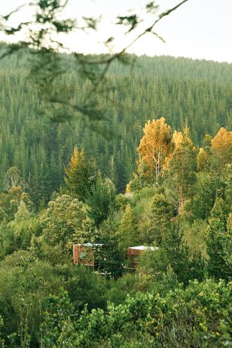 Naturlandskabet i nærheden af chaletet