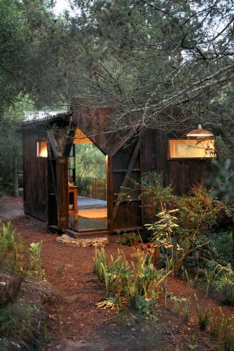 a small cabin in the woods with a window at Serene Cabin in a Private Forest in Sedgefield