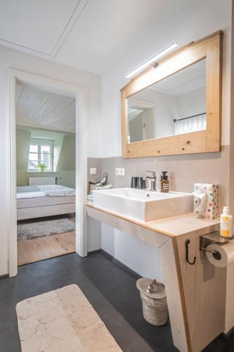a bathroom with a sink and a mirror at Altes Rathaus in Schwaigern