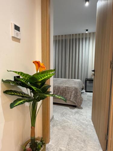 Fotografie z fotogalerie ubytování Metropol Park Studio Abdelmoumen v destinaci Casablanca