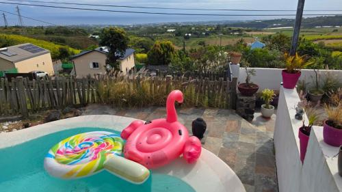 a pink toy flamingo in a swimming pool at Villa Fatjo in Le Tampon