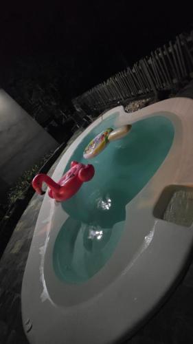 a fake bird sitting on top of a sink at Villa Fatjo in Le Tampon