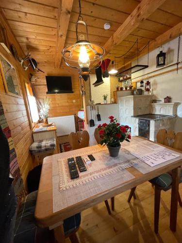 Køkken eller tekøkken på Romanticka Drevenica