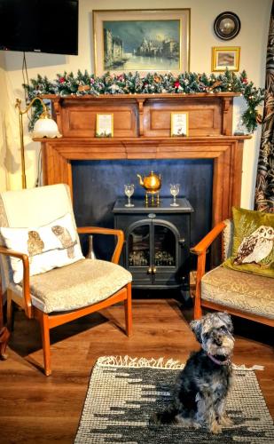 a dog sitting in a living room with a fireplace at Vintage vibe with modern conveniences - Sheffield & Peak District! in Stannington