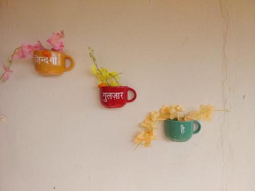 Φωτογραφία από το άλμπουμ του Neelay's Nest σε Nasrāpur