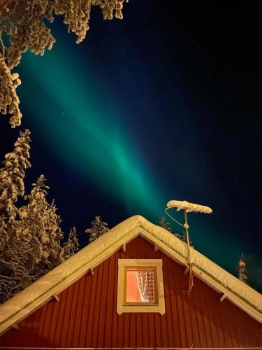 an igloo with the green northern lights behind it at Tievaharju Cabin in Kittilä