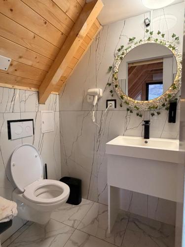 a bathroom with a white toilet and a mirror at MonteRosso in Mărişel