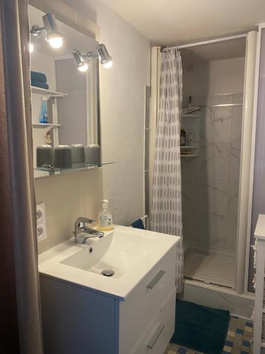 a bathroom with a sink and a shower at Maison du pêcheur , située sur les bords de la Loire dans un lieu calme et paisible. in Rochefort-sur-Loire