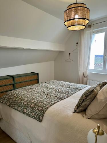 a bedroom with a bed with a window and a chandelier at Les Chantereines maison calme au cœur du vignoble champenois in Brugny-Vaudancourt