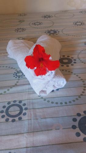 Galería fotográfica de Pousada Canoa Beach en Canoa Quebrada