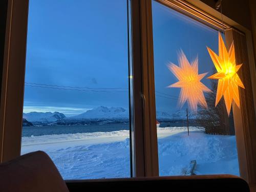 OlderdalenにあるAlpan Apartments, Lyngenfjordの雪に覆われた庭を望む窓