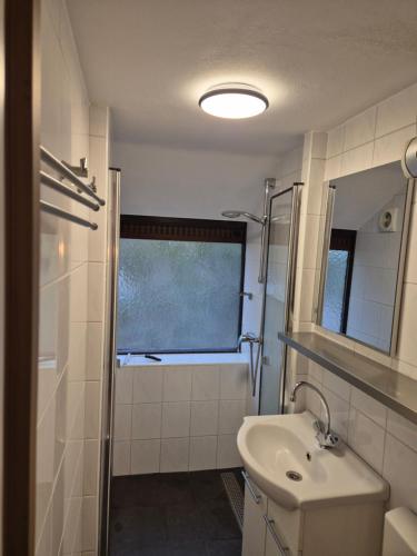 a bathroom with a sink and a shower and a mirror at Bois d' Hibou in Durbuy