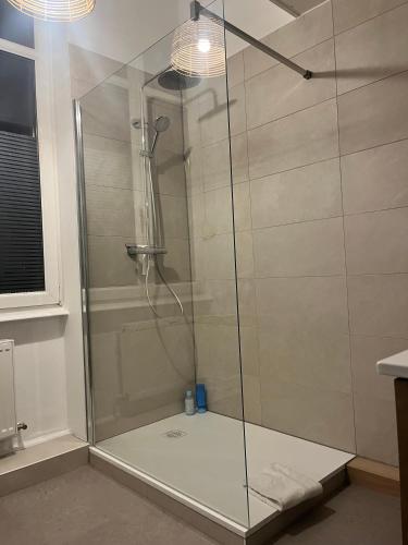 Luxurious central apartment Strasbourg center