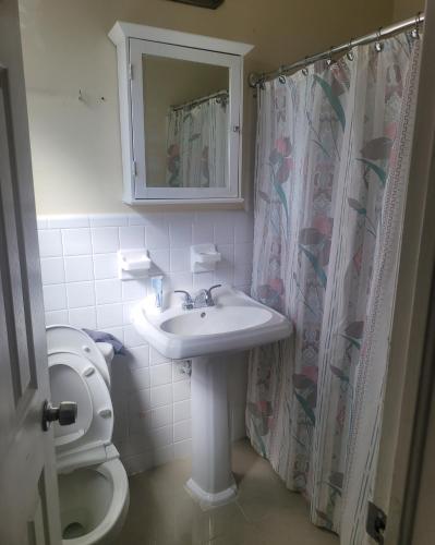 een badkamer met een wastafel, een toilet en een douchegordijn bij LakePoolBeachVacatuonHouse225d9Prs 