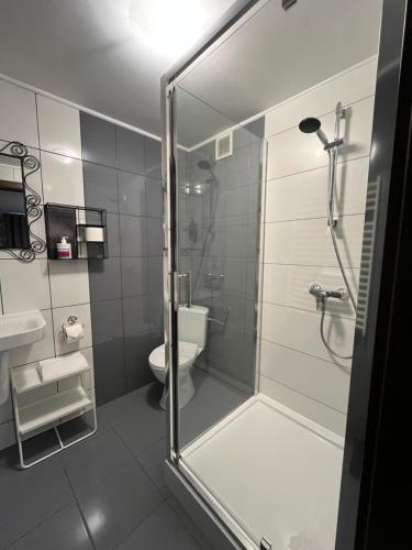 un baño con ducha y WC en Villa Zdrojowa, en Otmuchów