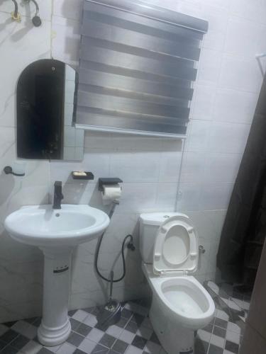 a bathroom with a toilet and a sink at Flexy Short-let in Sagamu