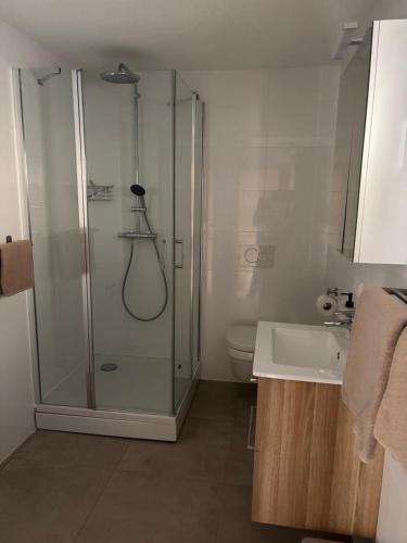 Phòng tắm tại Appartement StPeter, 5 min met de auto van de skipistes