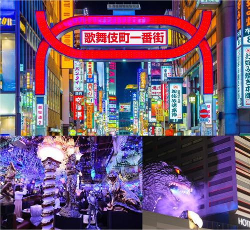 Cyber Shinjyuku Tokyo Room