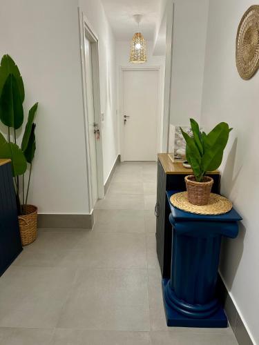 a hallway with a blue table and some plants at Argyros Rooms in Giardini Naxos