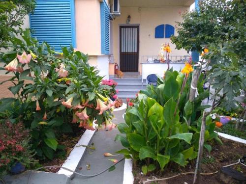 Κήπος έξω από το 4 Seasons Suites Paradise Athens Airport 2