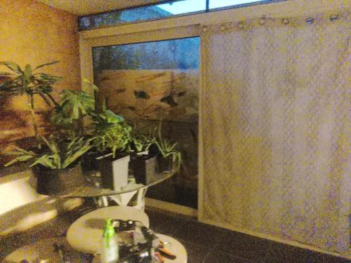 Φωτογραφία από το άλμπουμ του RECIFe στη Ναμύρ