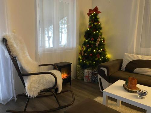 Afbeelding uit fotogalerij van Borova bajka in Usije