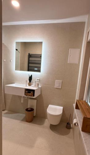 ein Badezimmer mit Toilette, Waschbecken und Spiegel in der Unterkunft Appartements am Radweg stille Pauline in Fehrbellin in Fehrbellin