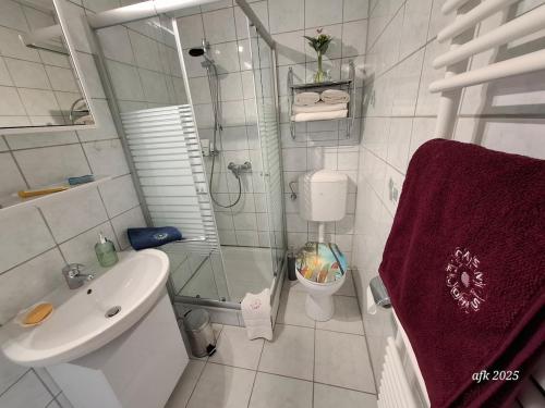 a bathroom with a shower and a sink and a toilet at Casa-Flores, um"Schwarzes Gold" zu erkunden in Bad Fallingbostel