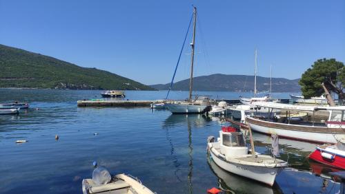 Billede fra billedgalleriet på Woodpecker Backpacker Hostel & Tours , Excursions i Zelenika