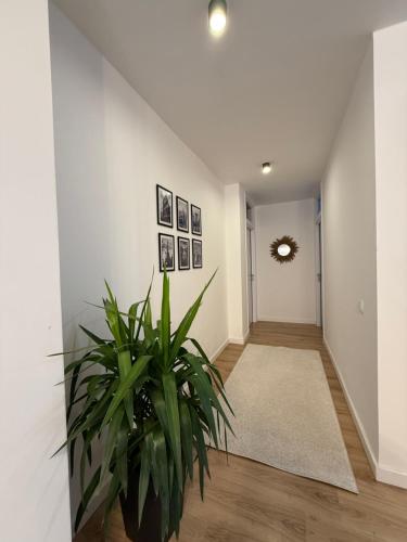 un pasillo con paredes blancas y una planta en City Center Penthouse Mitrovice, en Kosovska Mitrovica