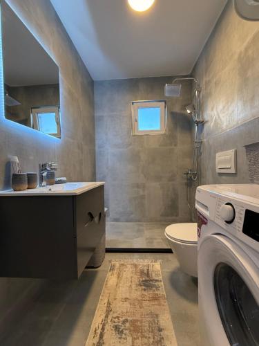 Koupelna v ubytování City Center Penthouse Mitrovice