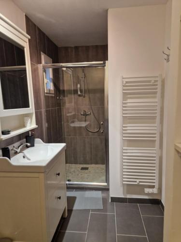 a bathroom with a shower with a sink and a toilet at Au bout du chemin Chez Tina in Sarrians
