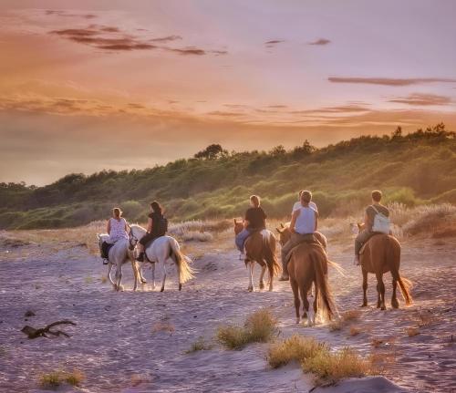 a group of people riding horses on a beach at Casa Orchidea in Botricello